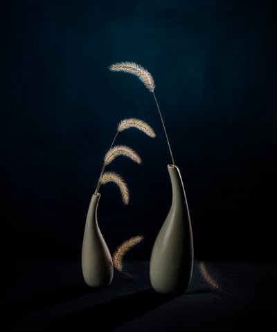 Moody Botanical Vases by John-Mei Zhong
