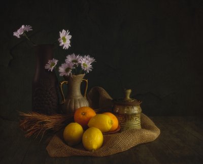 Moody Flowers and Fruit by John-Mei Zhong