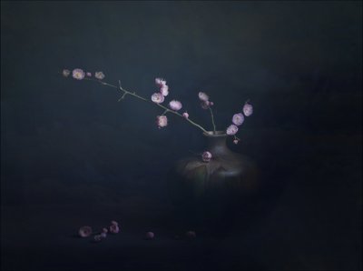 Plum Blossom Still Life by John-Mei Zhong