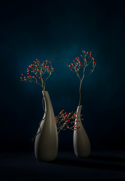 Red Berries Modern Vases by John-Mei Zhong