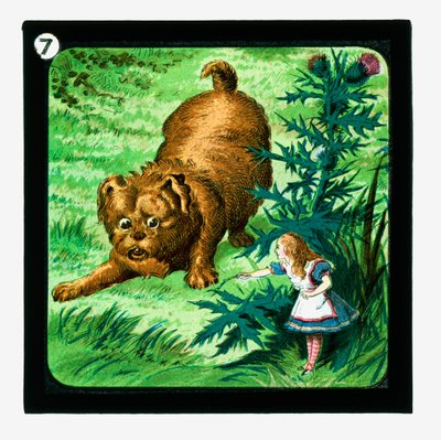 Alice in Wonderland, Coloured Lantern Slides by John (after) Tenniel