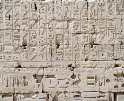 Karnak, Great Temple of Amon, Great Hypostyle Hall, Detail of Outside wall by Walter Charles Mills