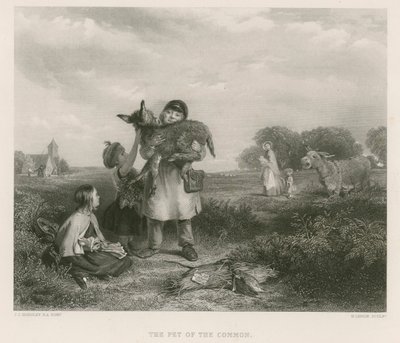 The Pet of the Common by John Callcott Horsley