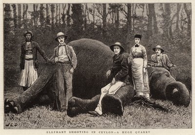 Elephant Shooting in Ceylon, a Huge Quarry by John Charles Dollman