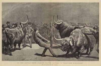 At the Cattle Show, judging Scotch Cattle, A Fractious Hielander by John Charlton