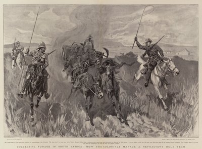 Collecting Forage in South Africa, how the Colonials manage a Refractory Mule Team by John Charlton