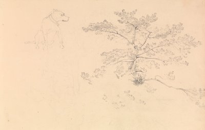 Study of a dog wearing collar and of tree branches by John Christian Schetky