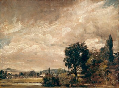 Harnham Ridge from Archdeacon Fisher