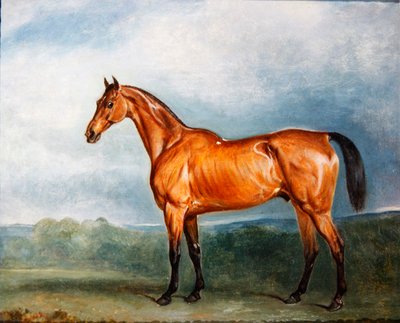 Brin-y-a-Pin in a paddock by John E. Ferneley