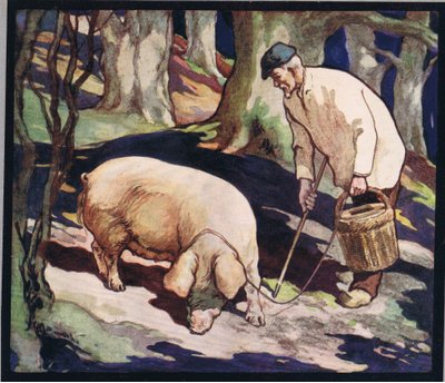 A pig searching for truffles, illustration from 