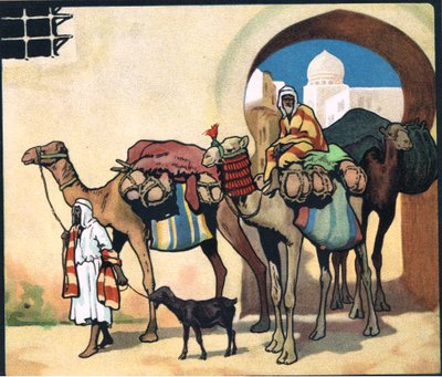 Camel Train, illustration from 