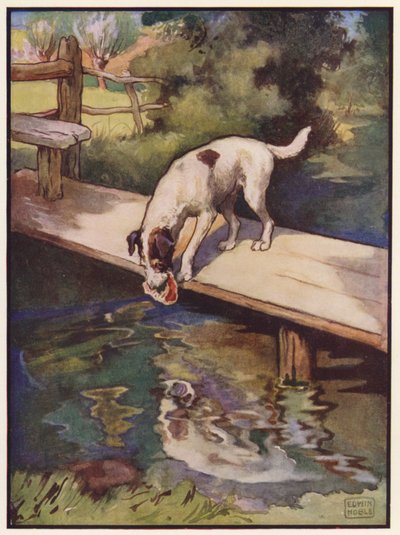The Dog and the Shadow by John Edwin Noble