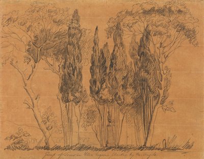 Trees in the Villa Negroni Planted by M. Angelo by John Flaxman
