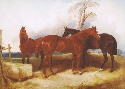 A Group of Horses, from Magazine or Book Source Unknown by John Frederick Herring Senior