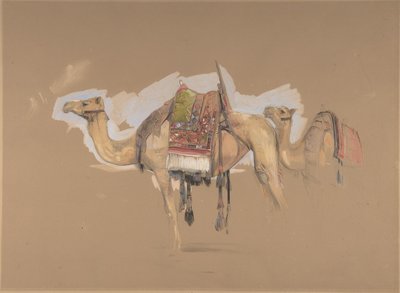 Two Camels by John Frederick Lewis