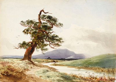 View of a Tree Near a River with Cattle Drinking and Purple Hill Beyond by John Frederick William Herschel