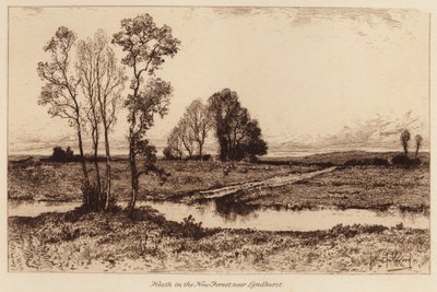 Heath in the New Forest, near Lyndhurst by John Fullwood
