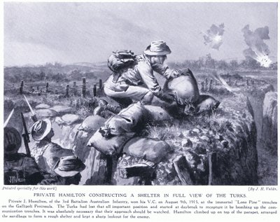 Private Hamilton Constructing a Shelter in Full View of the Turks at the Lone Pine Trenches on Gallipoli Peninsula August 1915 by John Harris Valda