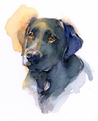 Black Lab by John Keeling