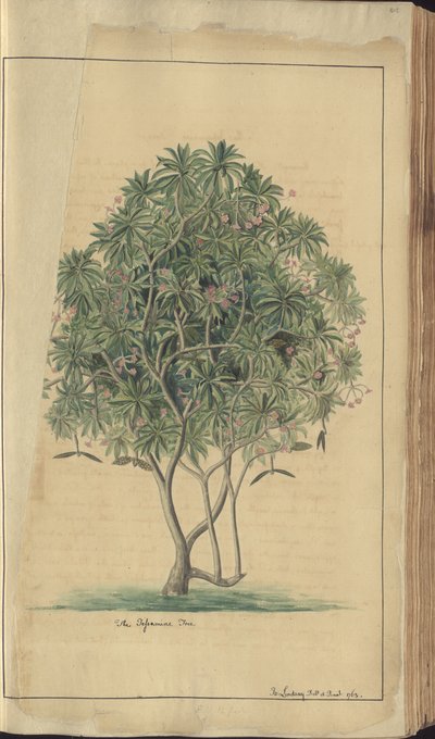 A page from the 