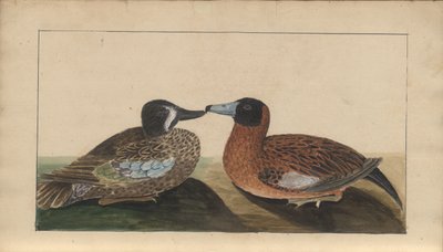 A Page from the 