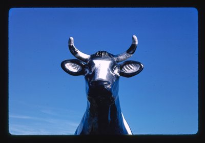 Chatty Belle the Cow Statue Detail, Cheese and Gift Shop, Neillsville, Wisconsin, USA by John Margolies