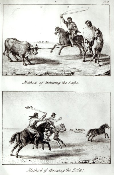 Methods of Throwing the Lasso and the Bolas, from 