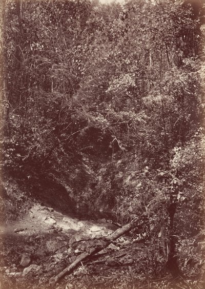 Darien Expedition, 1871 by John Moran