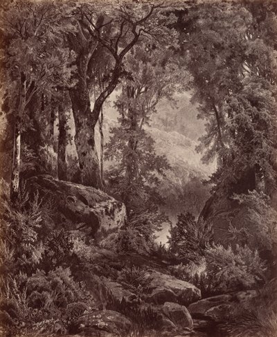 Solitude, 1865 by John Moran