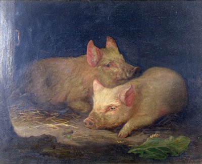 Two Prize Pigs in an Interior by John Rabone Harvey