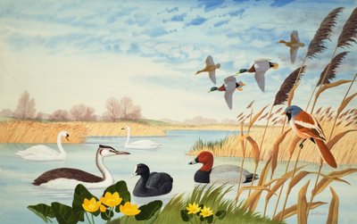 Nature Scene by John Rignall