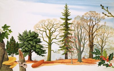 Trees in Winter by John Rignall