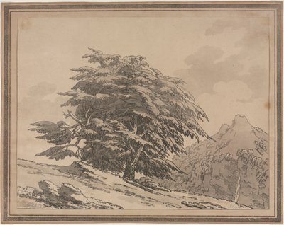 Delineations of the General Character Ramifications and Foliage of Forest Trees: Cedar, 1789 by John Robert Cozens