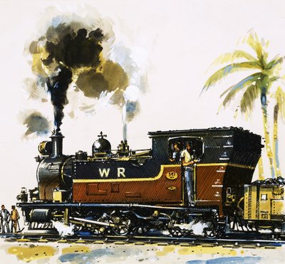 Narrow Gauge WT Class Bagnall-built Tank Engine on the Western Railways by John S. Smith