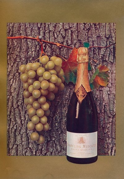 An advertisement for Sparkling Muscatel, c1908 by John Swain and Son