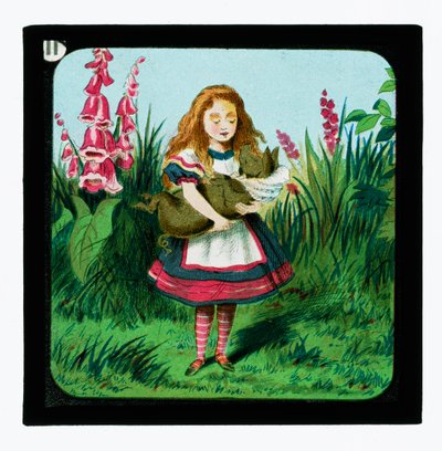 Alice in Wonderland, Coloured Lantern Slides by John Tenniel