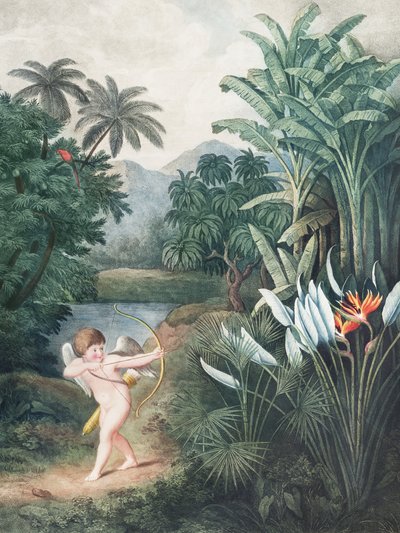 Cupid Inspiring Plants With Love From the Temple of Flora (1807) by John Thornton