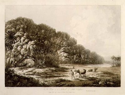 A View in the Island of Pulo Condore, from 