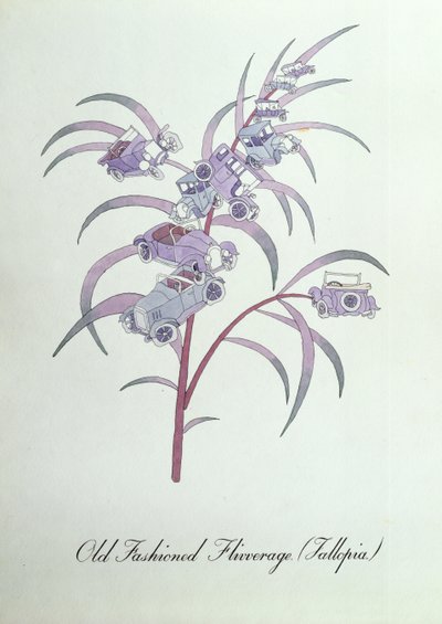 Old Fashioned Flivverage (Fallopia), illustration from 