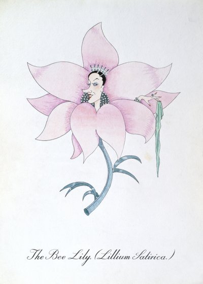 The Bee Lily (Lillium Satirica.), illustration from 