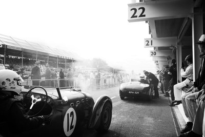 The Goodwood Estate in West Sussex, UK, 2018 by Jon Nicholson