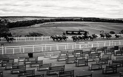The Goodwood Estate in West Sussex, UK, 2020 by Jon Nicholson