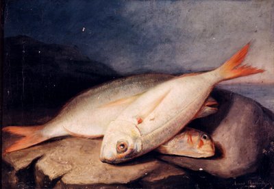 Still Life with Fish by José Arias Ramírez