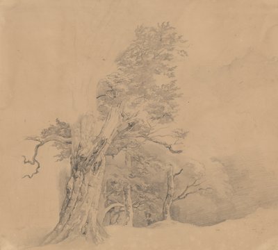 Group of Trees by Josef Kriehuber