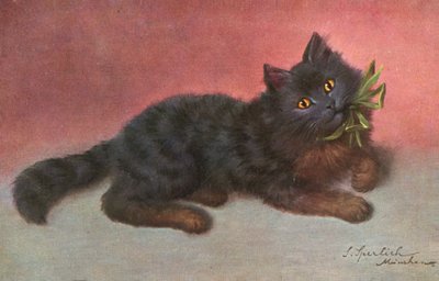 Cat postcard by Josef Sperlich