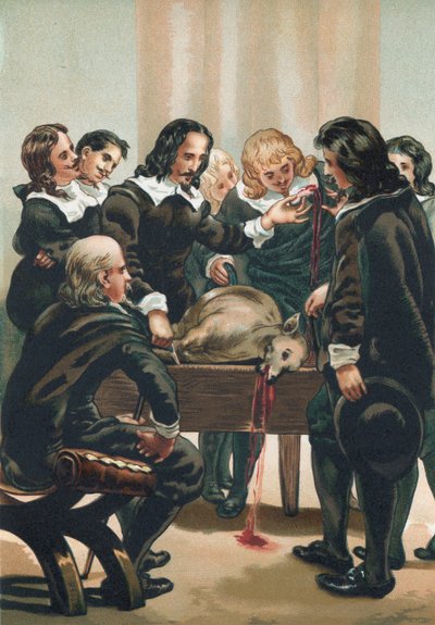 William Harvey Demonstrating the Circulation of the Blood by Josep or Jose Planella Coromina
