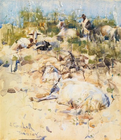 Goats on a Hillside, Tangier by Joseph Crawhall