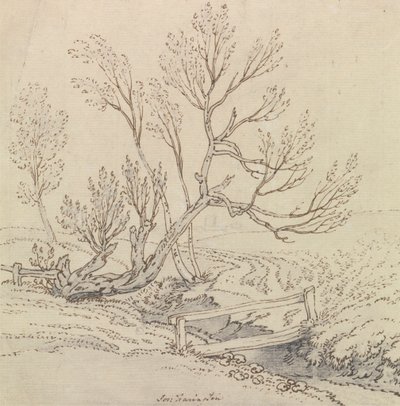 Footbridge Over a Stream Near a Willow Tree by Joseph Farington