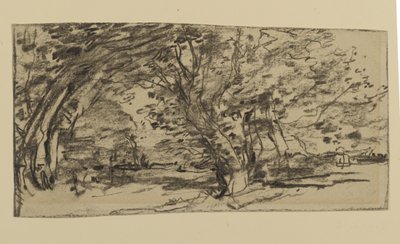 Study of Trees, 1870 by Joseph Frank Currier