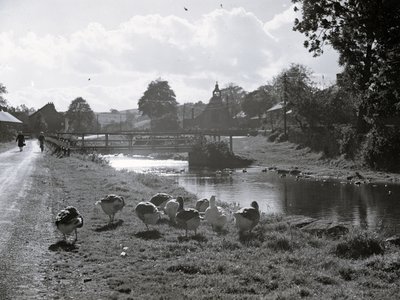 A view of a stream with a bridge, geese in the foreground, buildings and a church in the background by Joseph Hardman